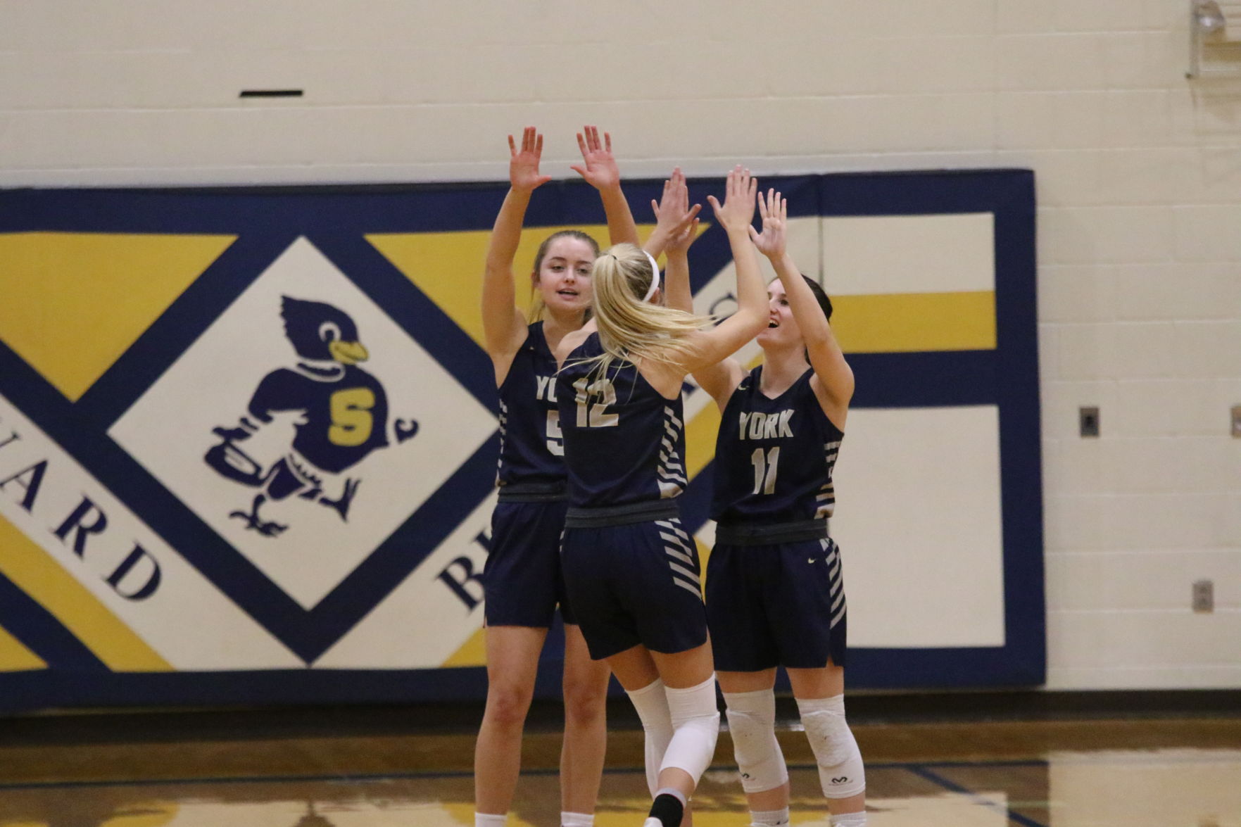 York vs. Seward girls basketball 4.JPG